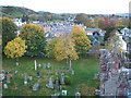 Melrose from the Abbey roof