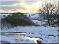 Line of a footpath from Kempley Green