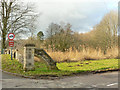 Small area of  reeds, Hafod Lodge