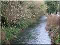 River Cerne, Forston Grange