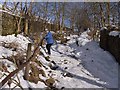 Steep path down into Garrigill