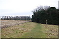 The Greensand Way west of Linton