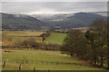 Fields south of Pen-y-graig-isaf farm