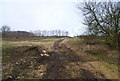 A muddy bit of tarmac on the Greensand Way