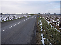 TL6454 : Road to Burrough Green by Hugh Venables