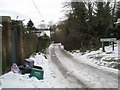 A snowy Chestnut Avenue