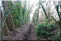 Byway, West of Buston Manor