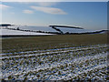 Farmland around Wadlow Farm