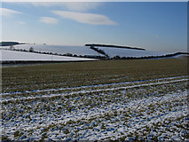 TL5854 : Farmland around Wadlow Farm by Hugh Venables