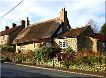 SE6584 : Beadlam Cottage by David Rogers