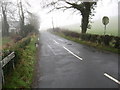 Looking along the Ballywillin Road.