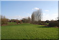 Flood plain of the River Beult from Town Bridge, Yalding