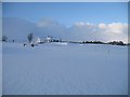 Grantown on Spey Golf  Club