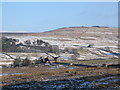 East Allen Dale north of Allenheads