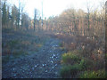 SO9245 : Muddy path in Tiddesley Wood by Trevor Rickard