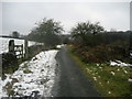 Metalled access off Reedymoor Lane