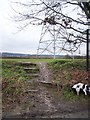 Steps up to footpath on Snodland Road