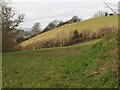 Fields from Mill Cross