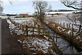 Weiris Burn looking downstream