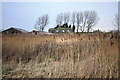 Old Farm Buildings