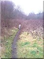 Footpath through the valley