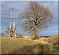 Footpath to Combs Ford