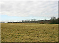 Open countryside near Ewell