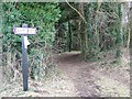 Restricted byway near Knighton Farm