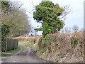 Bridleway, East Martin