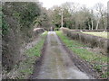 Bridleway to Peacock