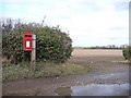 Chilbolton: postbox № SO20 113, Gravel Hill