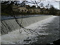 Weir on the Wharfe