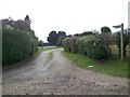 Footpath, East Martin