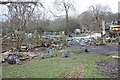 Guinea Fowl, rear of Common Farm