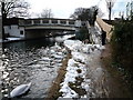 The Wolf Bridge and Swans