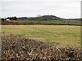 Pasture land off Grafton Lane