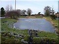 Frozen Pond