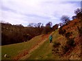 Track to the open moors