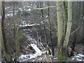 Burn Walk  with Footbridge by Railway Near Tutor Hotel