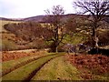 Llatho farmland