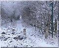 Bridleway to Braunstone