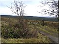 Silsgarrow Townland