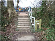 SX9294 : Steps on the Exeter Green Circle Walk by David Smith