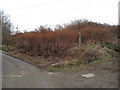 Footpath off Geer Lane