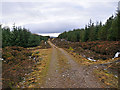 NN9243 : Forest track in Griffin Forest by Dr Richard Murray