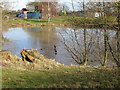 Pond at Little Walmestone