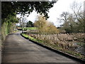 View along Shearwater Road towards Elmstone church