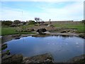 Sea front gardens