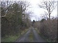 G9448 : Road at Tullyderin by Kenneth  Allen