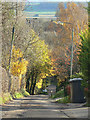 Looking down Bridle Road